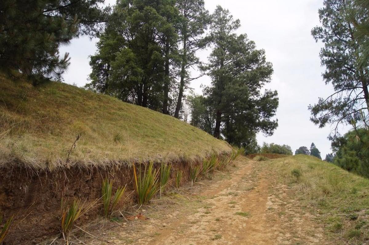  Land in Lerma, Mexico No. 204882