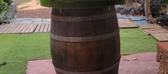 4 bedrooms House in Guimar, Spain No. 163675 10