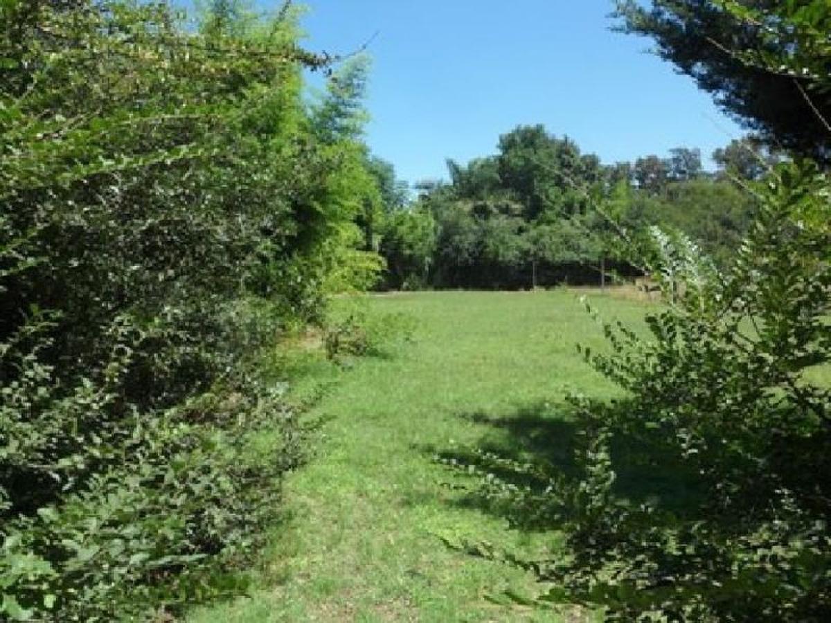 Terreno em Escobar, Argentina N.º 36829