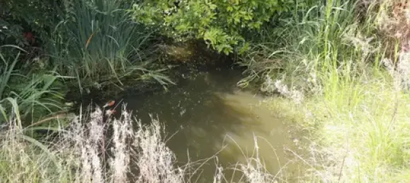 4-Zimmer Stadthaus in Cloppenburg, Germany, Nr. 328579 5