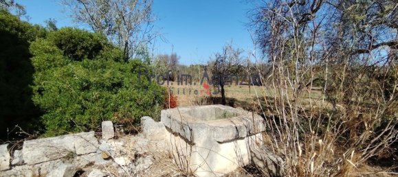 2-Zimmer Grundstück in Carovigno, Italy, Nr. 381149 3