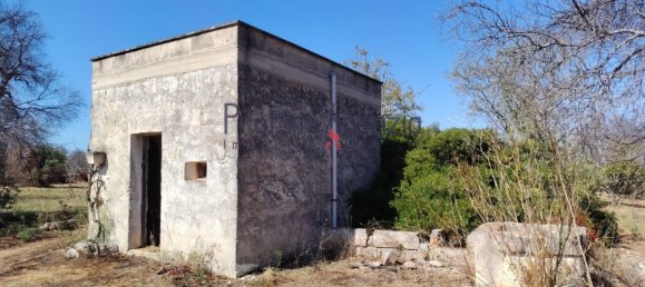 2-Zimmer Grundstück in Carovigno, Italy, Nr. 381149 8