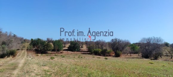 2-Zimmer Grundstück in Carovigno, Italy, Nr. 381149 4