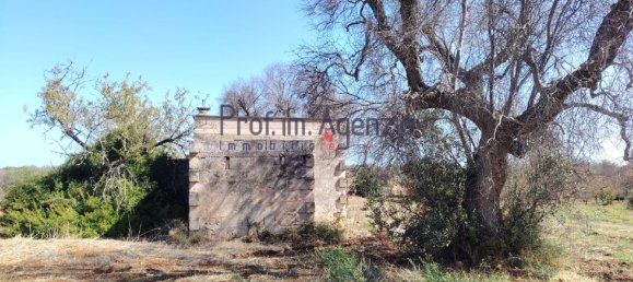 2-Zimmer Grundstück in Carovigno, Italy, Nr. 381149 10