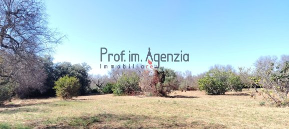 2-Zimmer Grundstück in Carovigno, Italy, Nr. 381149 6