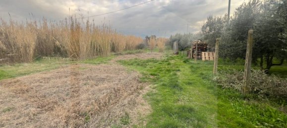 Земельный участок с 1 комнатой в Чампино, Италия № 28771 5