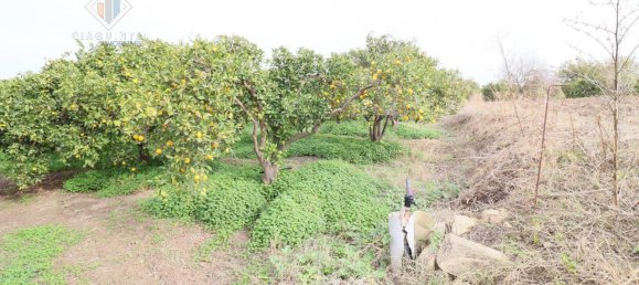 9000m² Land in Mineo, Italy No. 232440 21