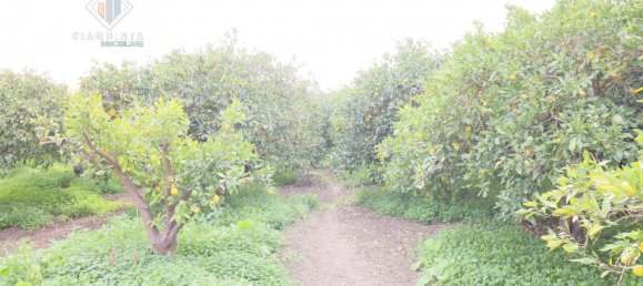 9000m² Land in Mineo, Italy No. 232440 10