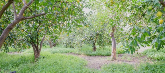 9000m² Land in Mineo, Italy No. 232440 12