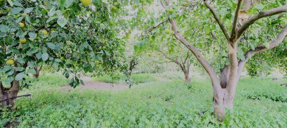 9000m² Land in Mineo, Italy No. 232440 14