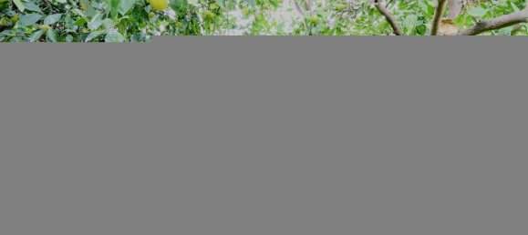 9000m² Land in Mineo, Italy No. 232440 13