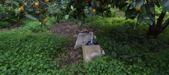 9000m² Land in Mineo, Italy No. 232440 2