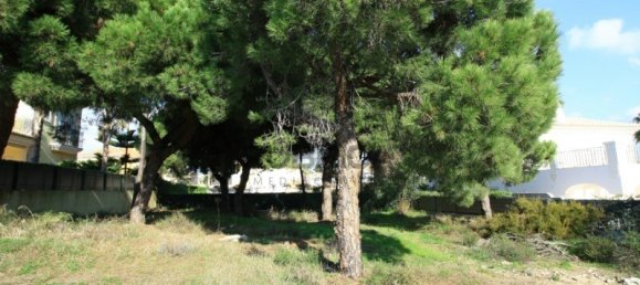 Земельный участок в Алмансил, Португалия № 109118 2