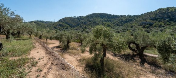 3 غرف نوم منزل في Tortosa, Spain رقم 139785 24