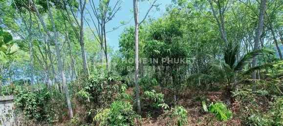  قطعة أرض في Phuket, Thailand رقم 60898 3