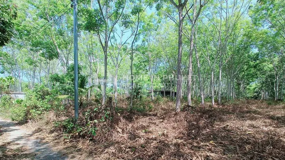  قطعة أرض في Phuket, Thailand رقم 60898