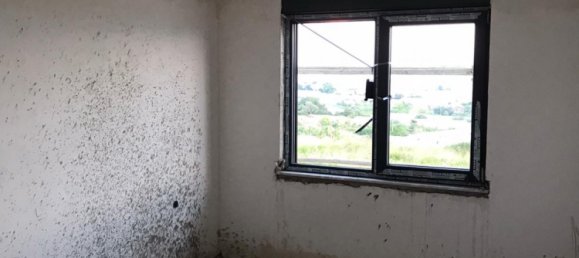 Apartment 1+1 in Alanya, Turkey No. 31972 7