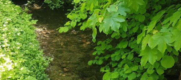  عقار تجاري في Hameln-Pyrmont, Germany رقم 218615 6