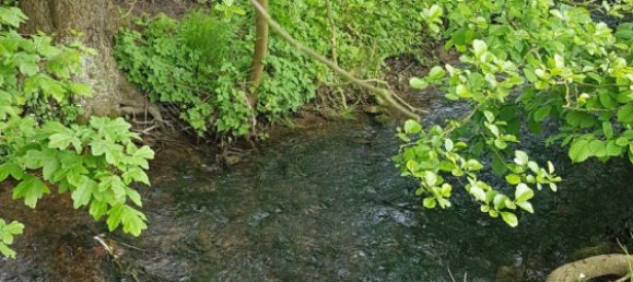  عقار تجاري في Hameln-Pyrmont, Germany رقم 218615 9