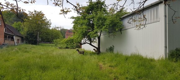  عقار تجاري في Hameln-Pyrmont, Germany رقم 218615 8