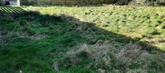 Здание с 14 спальнями в Эмсланд, Германия № 295142 5