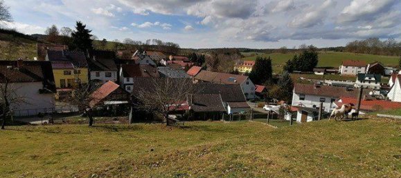 Таунхаус с 5 комнатами в Шмалькальден-Майнинген, Германия № 200633 4