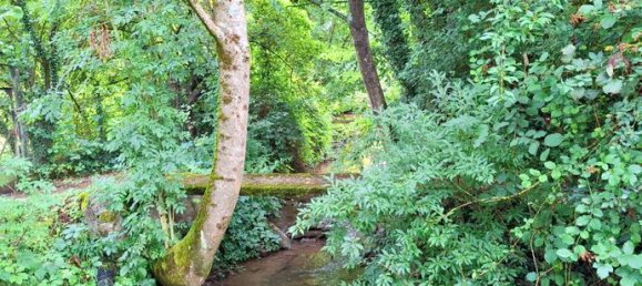 765m² Land in Haute-Vigneulles, France No. 304370 4