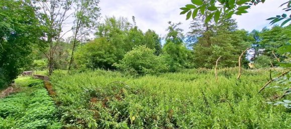 765m² Land in Haute-Vigneulles, France No. 304370 3