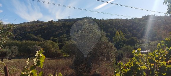 3 bedrooms House in Abrantes, Portugal No. 24242 12