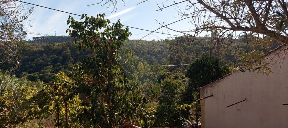 3 bedrooms House in Abrantes, Portugal No. 24242 3