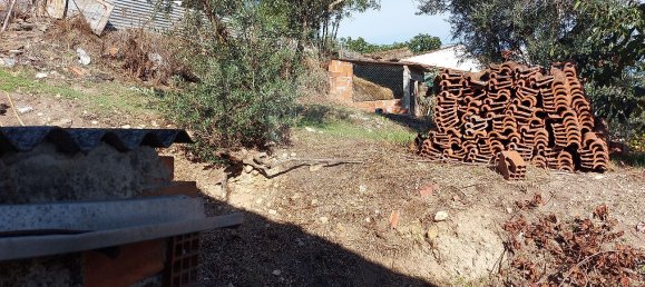 3 bedrooms House in Abrantes, Portugal No. 24242 5