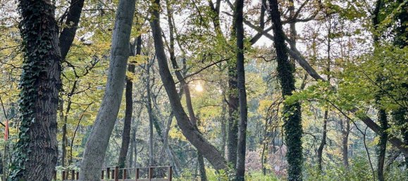 Land in Pottendorf, Austria No. 150853 7