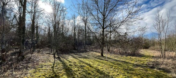 Дом с 4 спальнями в Зале, Германия № 249553 2