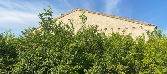 22194m² Land in Alicante, Spain No. 158361 2