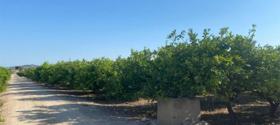 22194m² Land in Alicante, Spain No. 158361 4