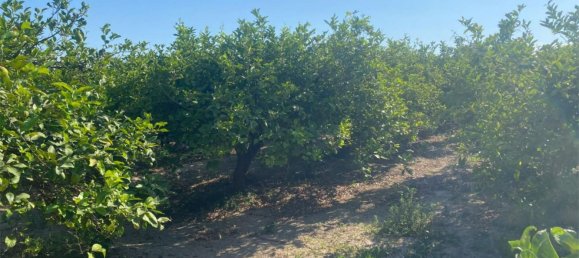 22194m² Land in Alicante, Spain No. 158361 10