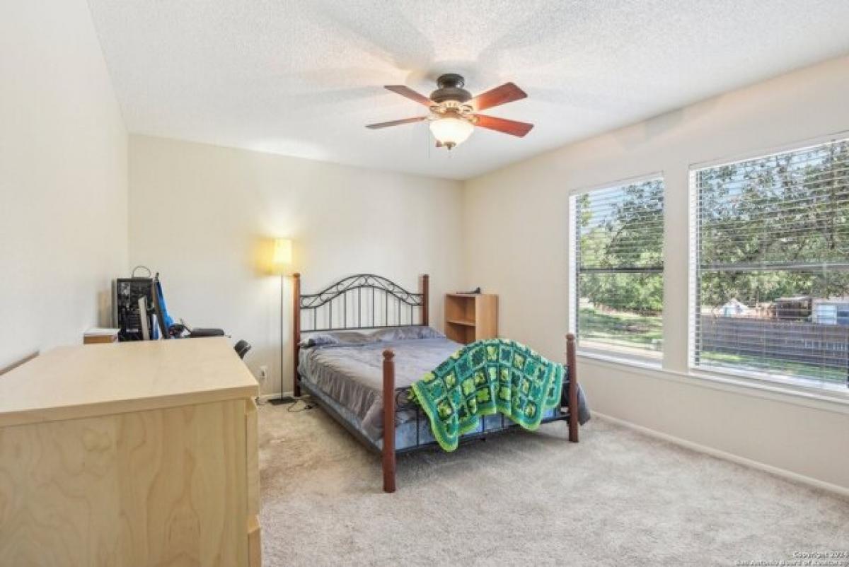 4 bedrooms House in San Antonio, USA No. 436733