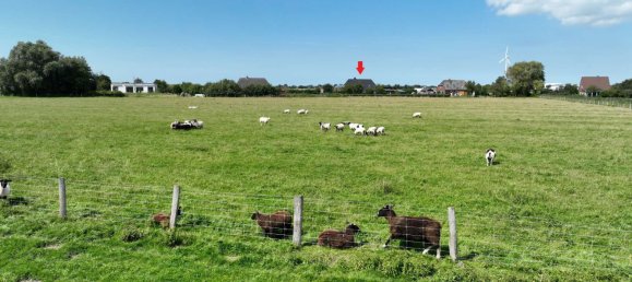2 Schlafzimmer Haus in Dithmarschen, Germany, Nr. 25128 31