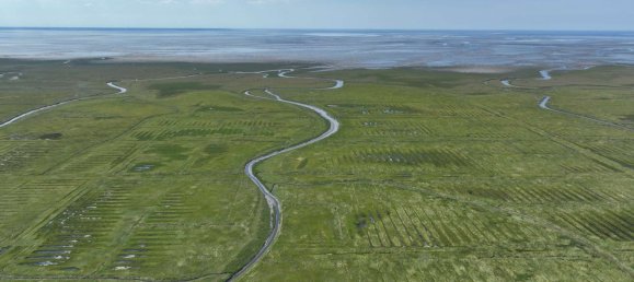 2 Schlafzimmer Haus in Dithmarschen, Germany, Nr. 25128 32