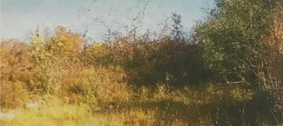 1488m² Land in Zagreb, Croatia No. 14 4