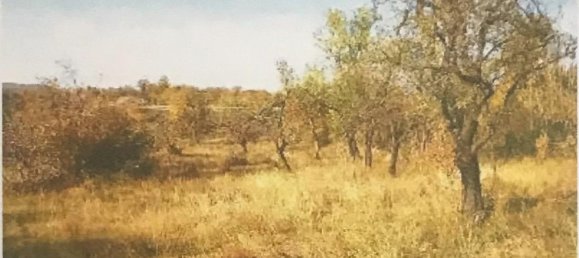 1488m² Land in Zagreb, Croatia No. 14 3