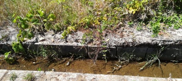 Terrain à Cacabelos, Spain No. 79690 9