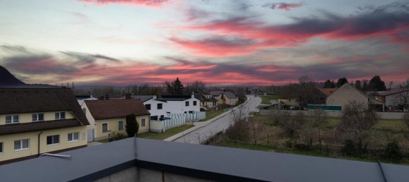 6 rooms House in Angern an der March, Austria No. 227838 10