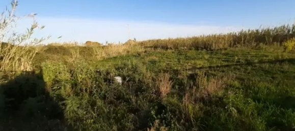 Terrain à Torrenova, Italy 7000m² No. 43105 13