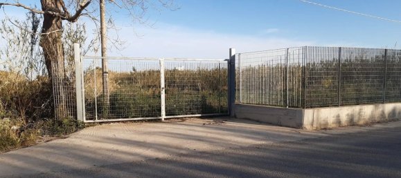 Terrain à Torrenova, Italy 7000m² No. 43105 23