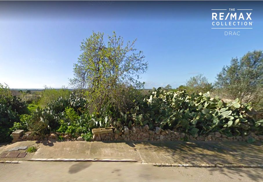  قطعة أرض في Ses Salines, Spain رقم 168270