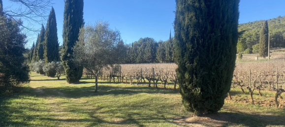 Gewerbliche Immobilie in Tourtour, France 235m², Nr. 1580 5