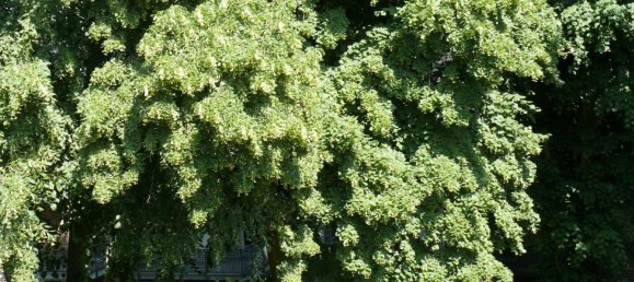 Duplex de 2 divisões em Pinneberg, Germany N.º 362516 10