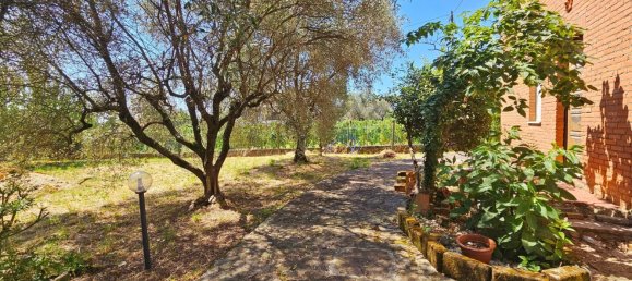 10 rooms Villa in Luni, Italy No. 263409 36