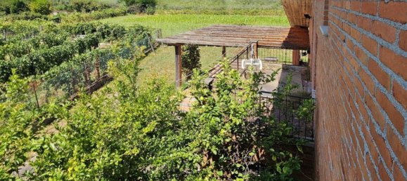 10 rooms Villa in Luni, Italy No. 263409 13